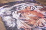 Conceptum Opus Chenille AL 307 Multicolor 150 x 230 cm